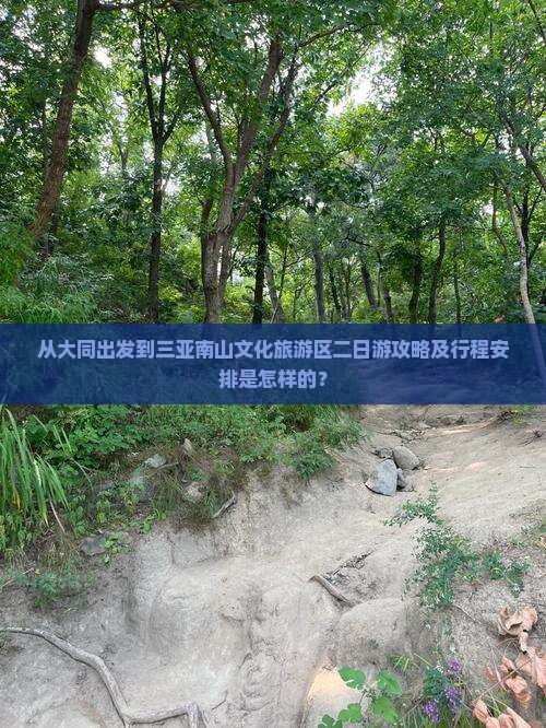 从大同出发到三亚南山文化旅游区二日游攻略及行程安排是怎样的？