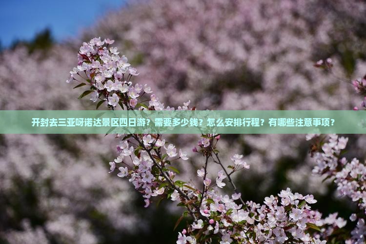 开封去三亚呀诺达景区四日游？需要多少钱？怎么安排行程？有哪些注意事项？