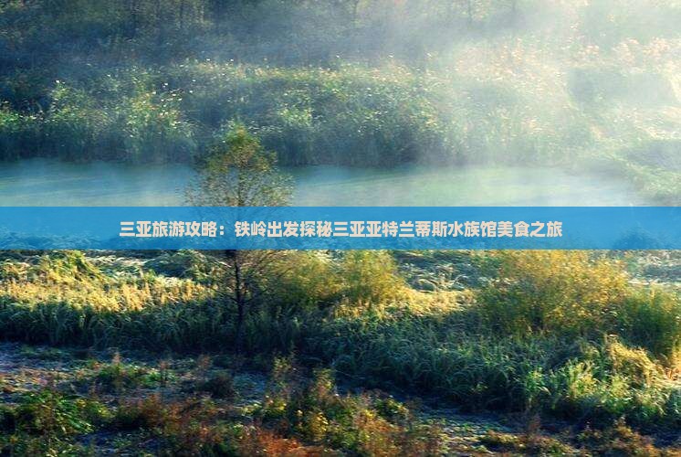 三亚旅游攻略：铁岭出发探秘三亚亚特兰蒂斯水族馆美食之旅