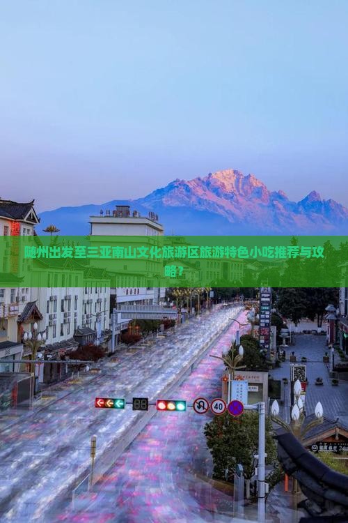 随州出发至三亚南山文化旅游区旅游特色小吃推荐与攻略？