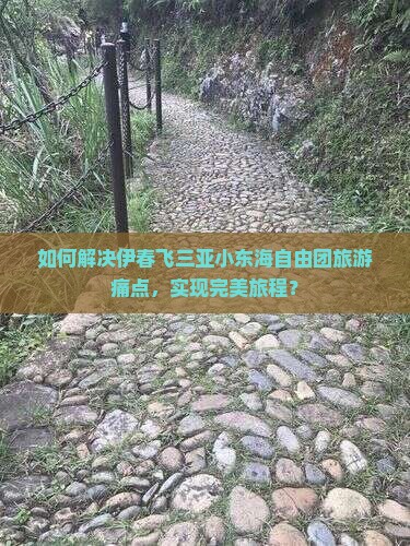 如何解决伊春飞三亚小东海自由团旅游痛点，实现完美旅程？