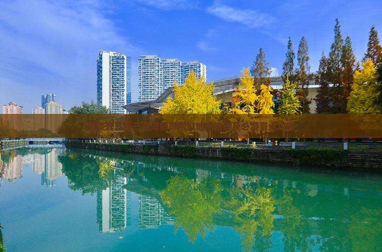 醴陵去三亚三亚湾旅游网红地点推荐及必游景点攻略