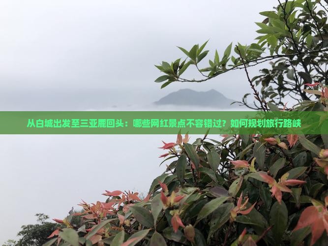 从白城出发至三亚鹿回头：哪些网红景点不容错过？如何规划旅行路峡