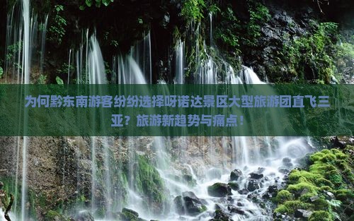 为何黔东南游客纷纷选择呀诺达景区大型旅游团直飞三亚？旅游新趋势与痛点！