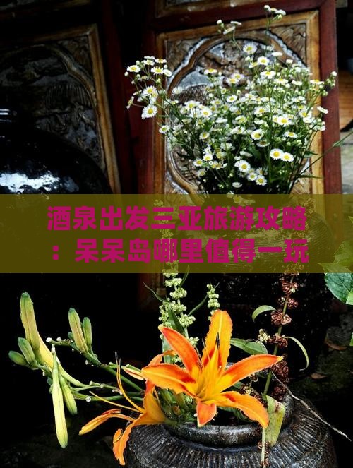 酒泉出发三亚旅游攻略：呆呆岛哪里值得一玩