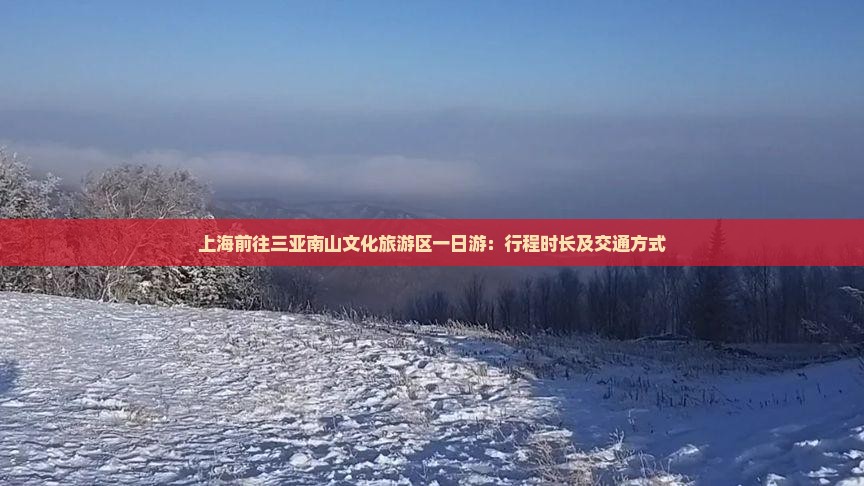 上海前往三亚南山文化旅游区一日游：行程时长及交通方式