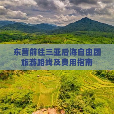东营前往三亚后海自由团旅游路线及费用指南