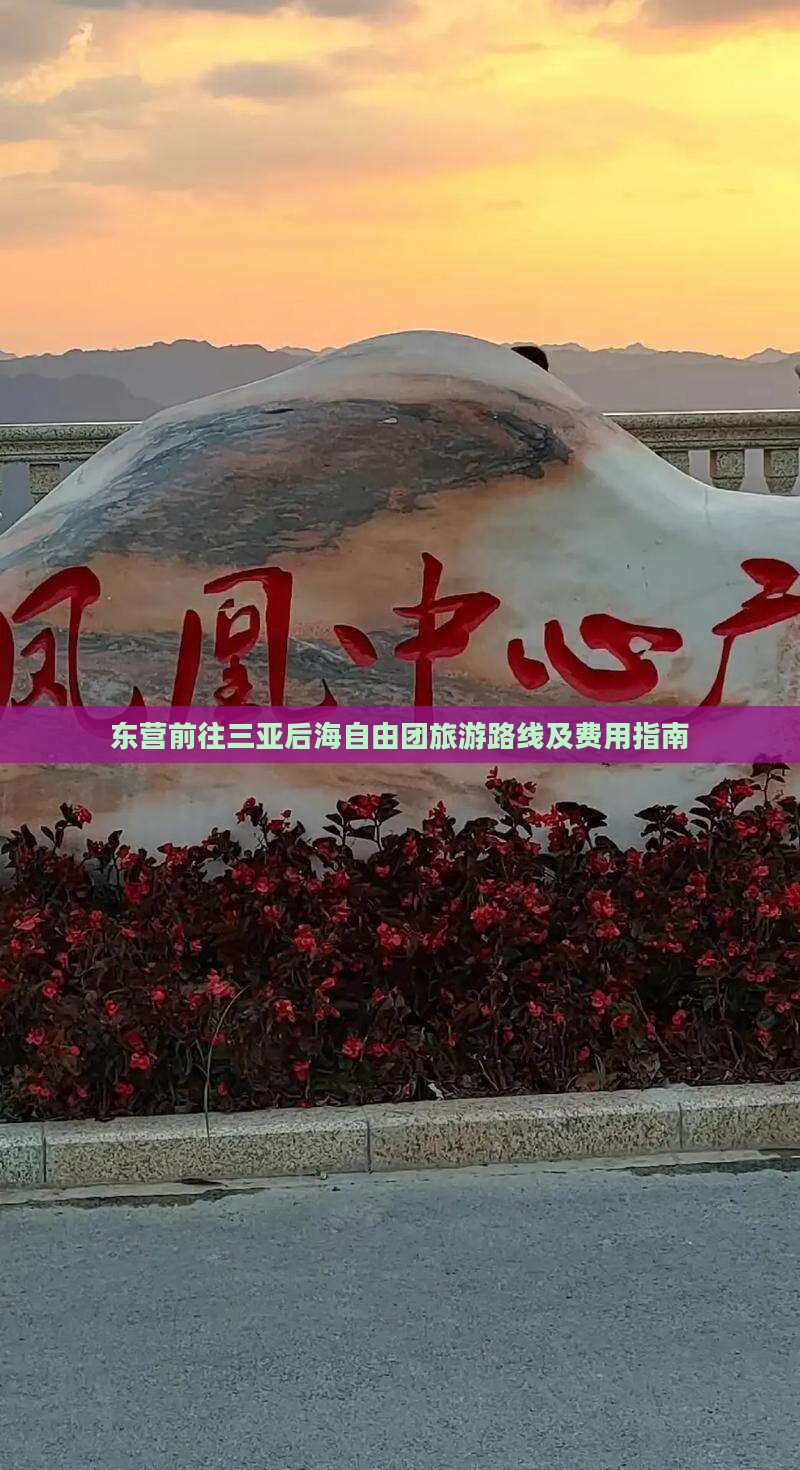 东营前往三亚后海自由团旅游路线及费用指南