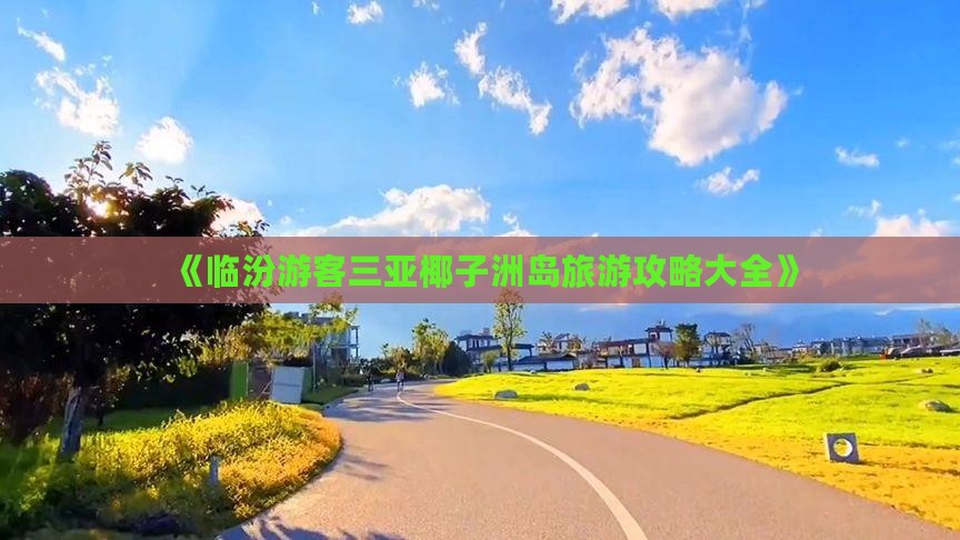 《临汾游客三亚椰子洲岛旅游攻略大全》