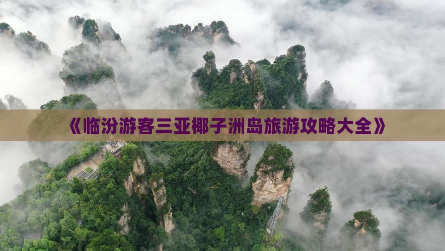 《临汾游客三亚椰子洲岛旅游攻略大全》