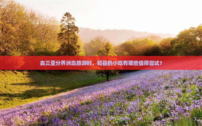 去三亚分界洲岛旅游时，和县的小吃有哪些值得尝试？