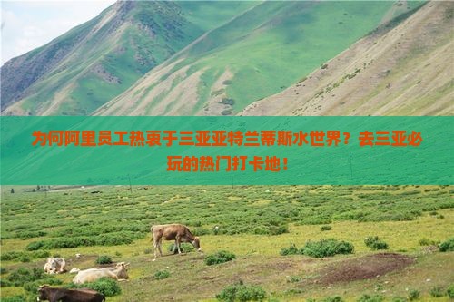 为何阿里员工热衷于三亚亚特兰蒂斯水世界？去三亚必玩的热门打卡地！