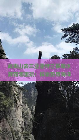武夷山去三亚亚特兰蒂斯水族馆哪里玩：探索热带海洋奥秘之旅