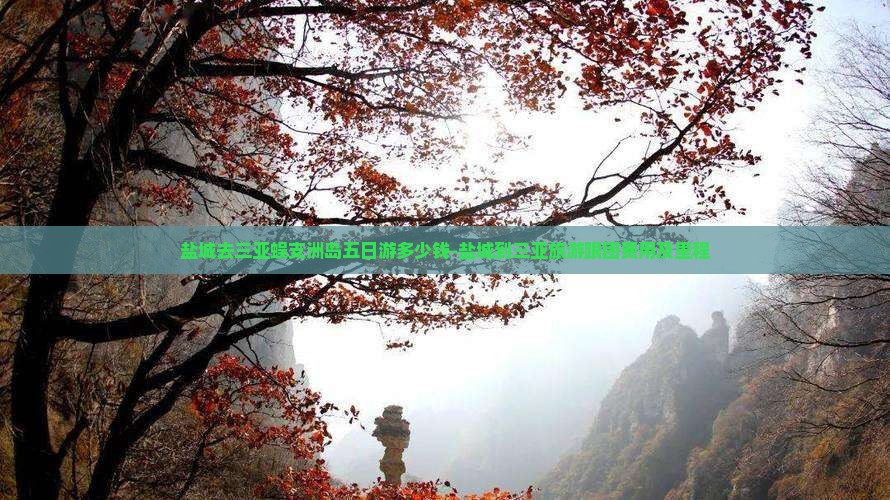 盐城去三亚蜈支洲岛五日游多少钱-盐城到三亚旅游跟团费用及里程