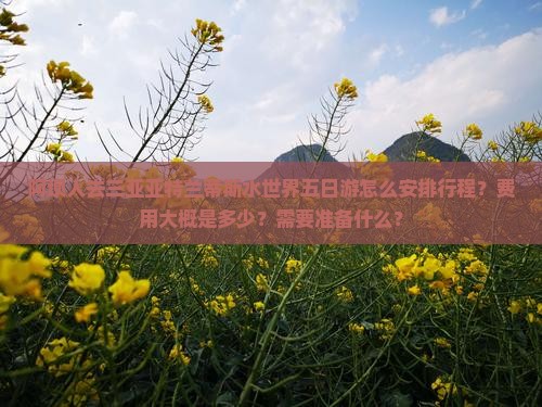 阿坝人去三亚亚特兰蒂斯水世界五日游怎么安排行程？费用大概是多少？需要准备什么？