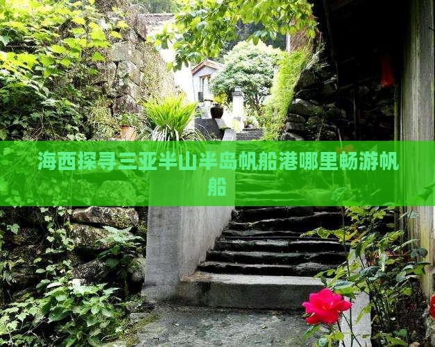海西探寻三亚半山半岛帆船港哪里畅游帆船