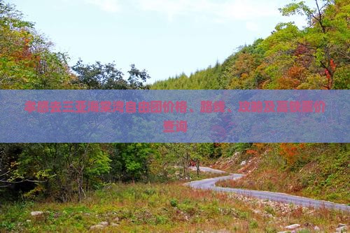 孝感去三亚海棠湾自由团价格、路线、攻略及高铁票价查询