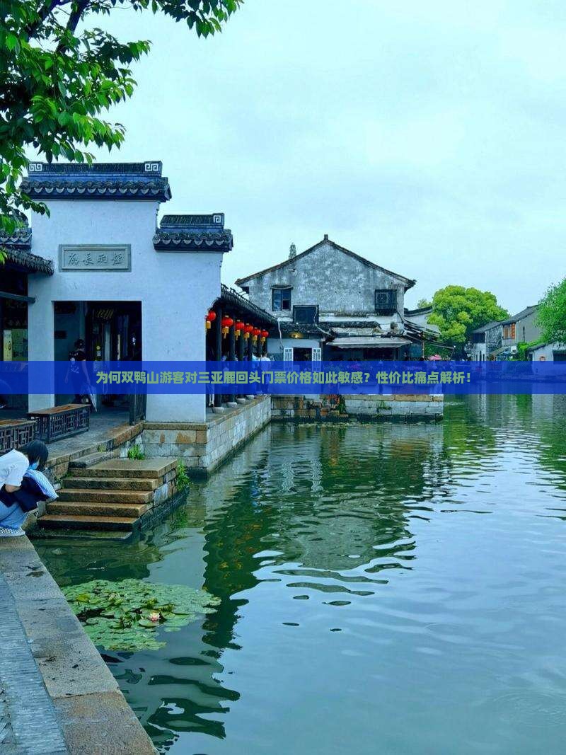 为何双鸭山游客对三亚鹿回头门票价格如此敏感？性价比痛点解析！