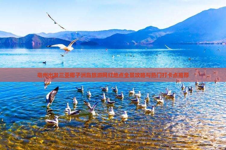 亳州出发三亚椰子洲岛旅游网红地点全景攻略与热门打卡点推荐