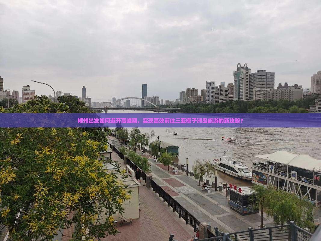 郴州出发如何避开高峰期，实现高效前往三亚椰子洲岛旅游的新攻略？