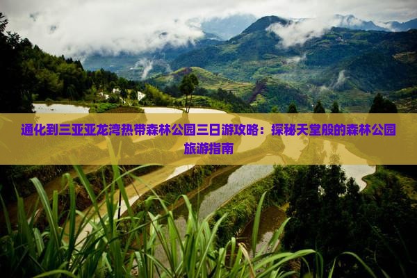 通化到三亚亚龙湾热带森林公园三日游攻略：探秘天堂般的森林公园旅游指南