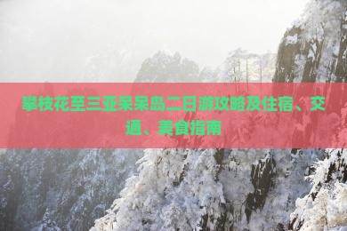 攀枝花至三亚呆呆岛二日游攻略及住宿、交通、美食指南