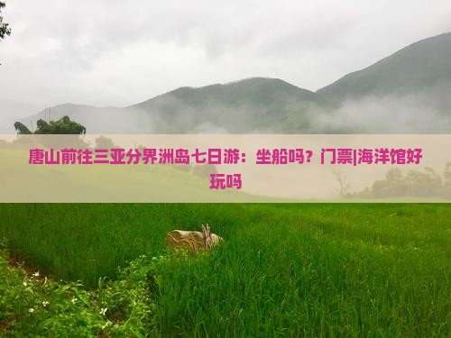 唐山前往三亚分界洲岛七日游：坐船吗？门票|海洋馆好玩吗