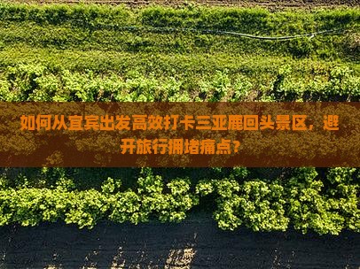 如何从宜宾出发高效打卡三亚鹿回头景区，避开旅行拥堵痛点？