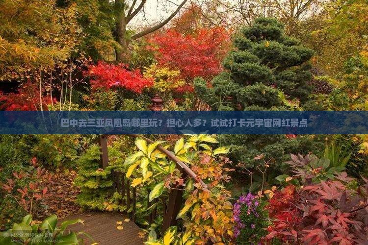 巴中去三亚凤凰岛哪里玩？担心人多？试试打卡元宇宙网红景点