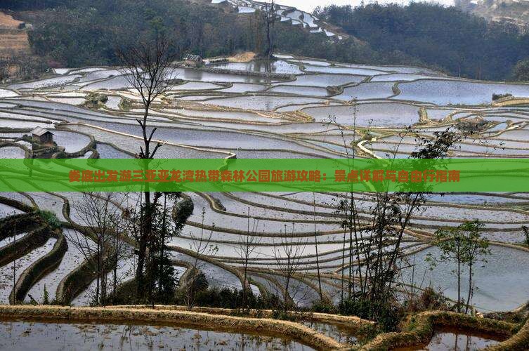 娄底出发游三亚亚龙湾热带森林公园旅游攻略：景点详解与自由行指南