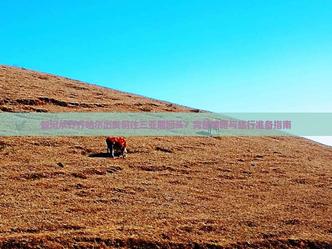 如何从齐齐哈尔出发前往三亚鹿回头？完整攻略与旅行准备指南