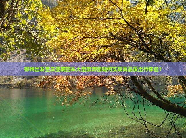 郴州出发至三亚鹿回头大型旅游团如何实现高品质出行体验？