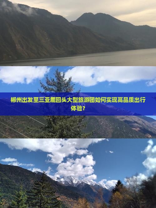 郴州出发至三亚鹿回头大型旅游团如何实现高品质出行体验？