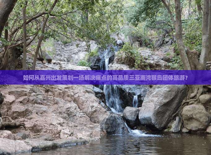 如何从嘉兴出发策划一场解决痛点的高品质三亚南湾猴岛团体旅游？