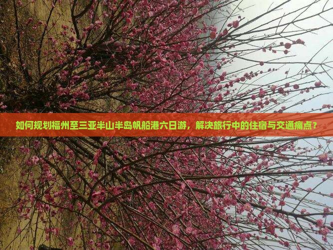 如何规划福州至三亚半山半岛帆船港六日游，解决旅行中的住宿与交通痛点？