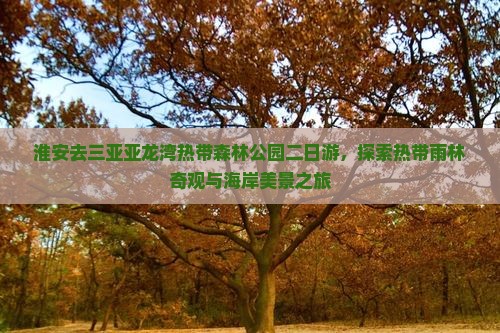 淮安去三亚亚龙湾热带森林公园二日游，探索热带雨林奇观与海岸美景之旅