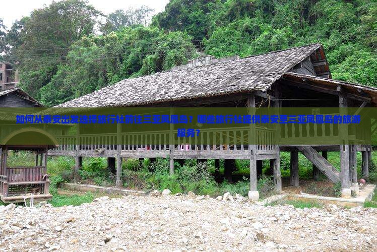 如何从泰安出发选择旅行社前往三亚凤凰岛？哪些旅行社提供泰安至三亚凤凰岛的旅游服务？