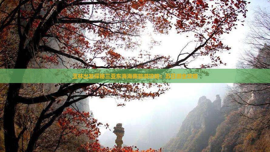 玉林出发探秘三亚东海海南旅游攻略：五日游全攻略