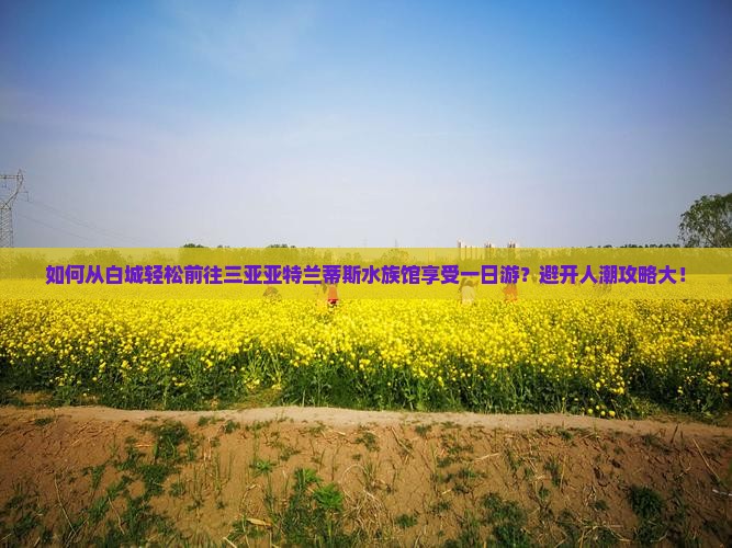 如何从白城轻松前往三亚亚特兰蒂斯水族馆享受一日游？避开人潮攻略大！