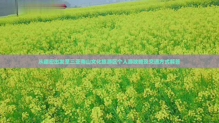 从德宏出发至三亚南山文化旅游区个人游攻略及交通方式解答