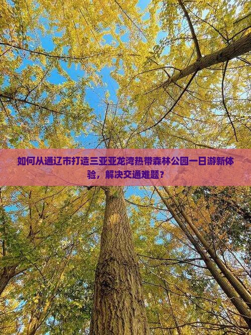 如何从通辽市打造三亚亚龙湾热带森林公园一日游新体验，解决交通难题？