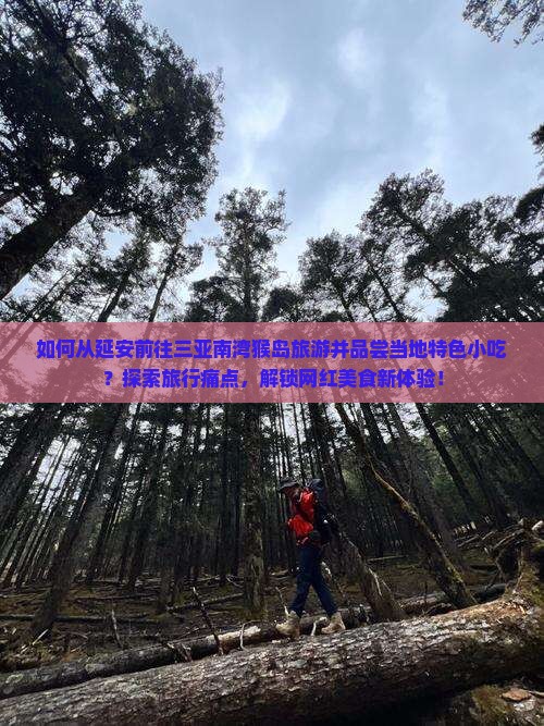 如何从延安前往三亚南湾猴岛旅游并品尝当地特色小吃？探索旅行痛点，解锁网红美食新体验！