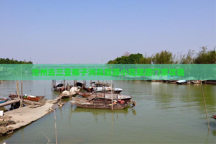 沧州去三亚椰子洲岛旅游小吃跟团门票攻略
