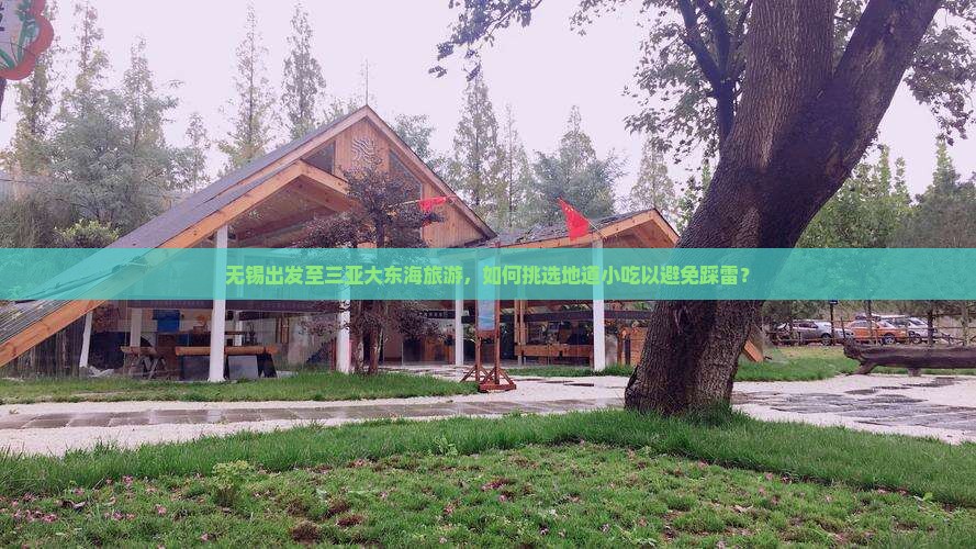 无锡出发至三亚大东海旅游，如何挑选地道小吃以避免踩雷？