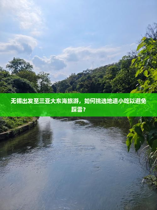 无锡出发至三亚大东海旅游，如何挑选地道小吃以避免踩雷？