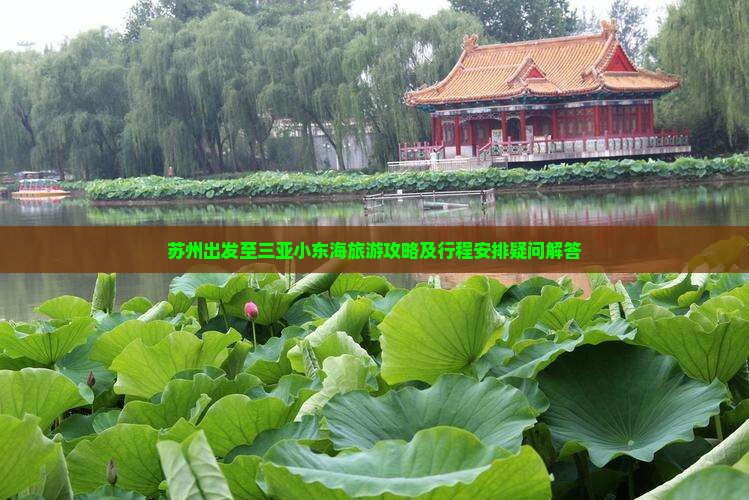 苏州出发至三亚小东海旅游攻略及行程安排疑问解答
