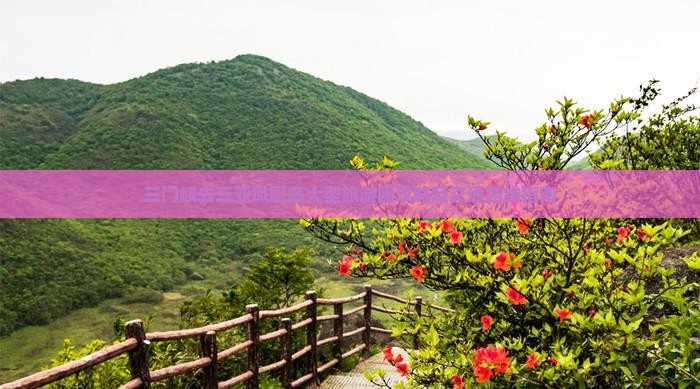 三门峡去三亚凤凰岛大型旅游团攻略及交通路线指南