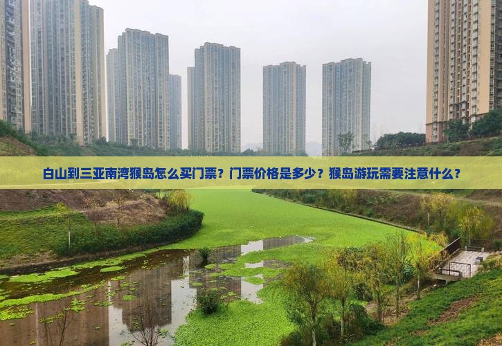 白山到三亚南湾猴岛怎么买门票？门票价格是多少？猴岛游玩需要注意什么？