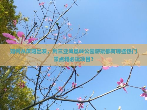 如何从庆阳出发，到三亚凤凰岭公园游玩都有哪些热门景点和必玩项目？