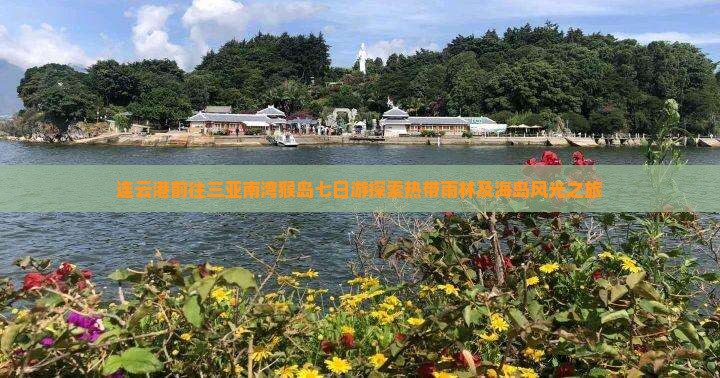 连云港前往三亚南湾猴岛七日游探索热带雨林及海岛风光之旅